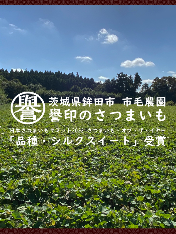 誉印のさつまいも | 茨城県 鉾田市 市毛農園 シルクスイート